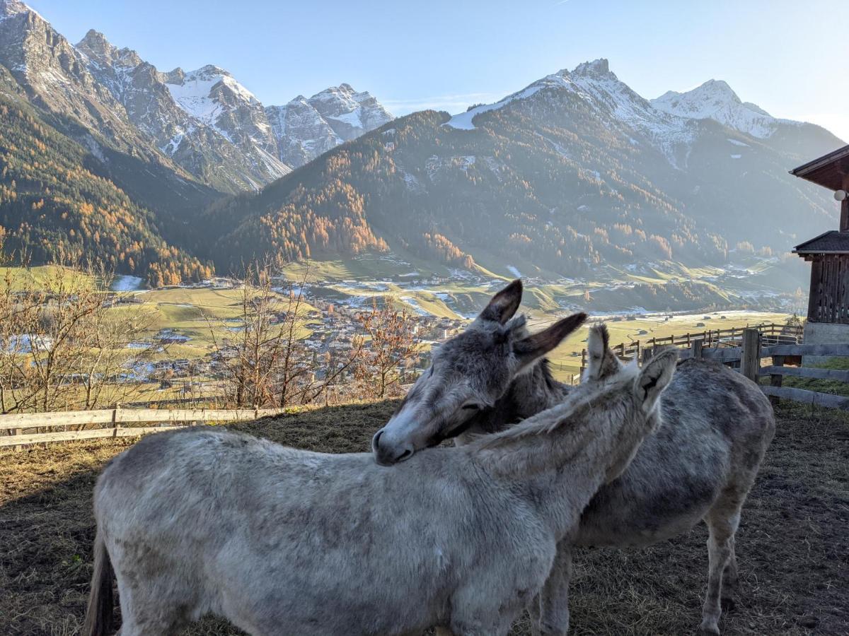 Apartament Jedlerhof Neustift im Stubaital Zewnętrze zdjęcie