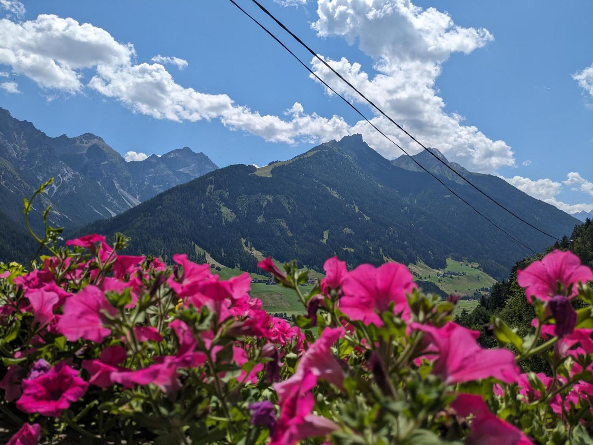 Apartament Jedlerhof Neustift im Stubaital Zewnętrze zdjęcie