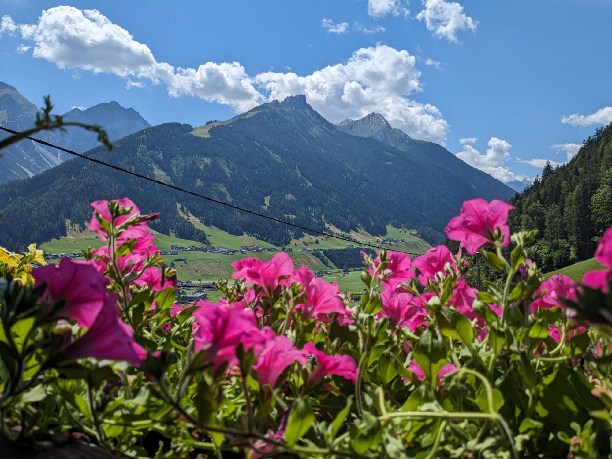 Apartament Jedlerhof Neustift im Stubaital Zewnętrze zdjęcie